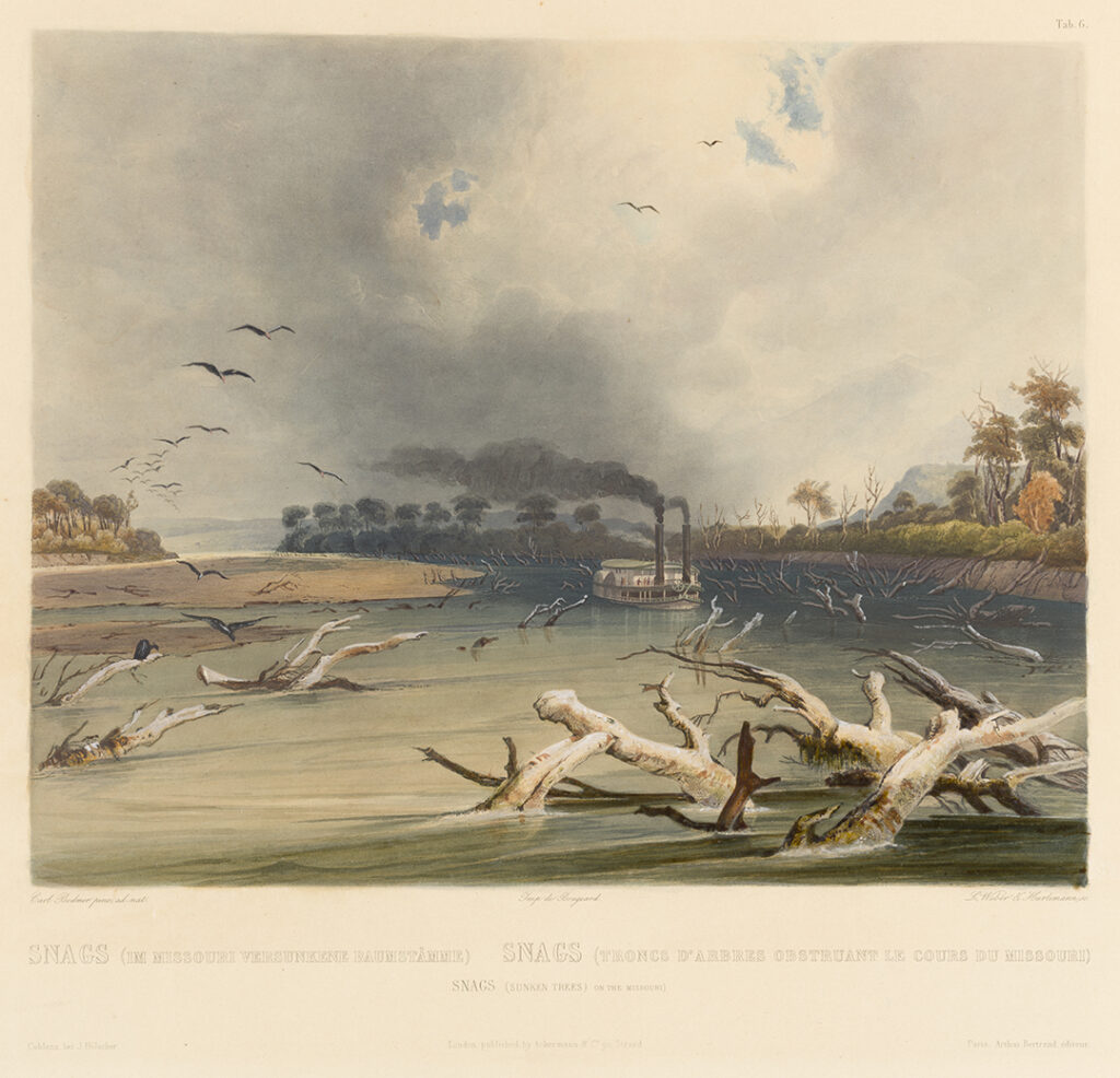 Snags (Sunken Trees) on the Missouri