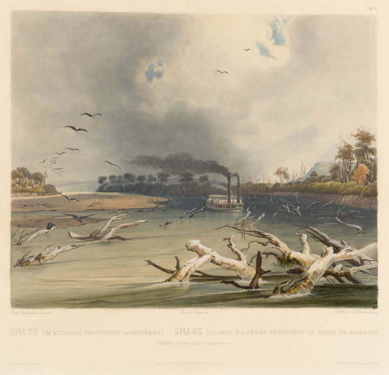 Snags (Sunken Trees) on the Missouri